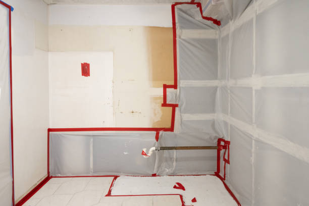 Cypress Landing, NC Mold Removal Company
