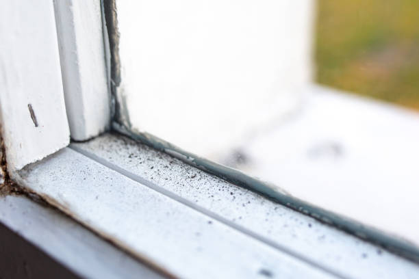 Dehumidification Services in Cypress Landing, NC