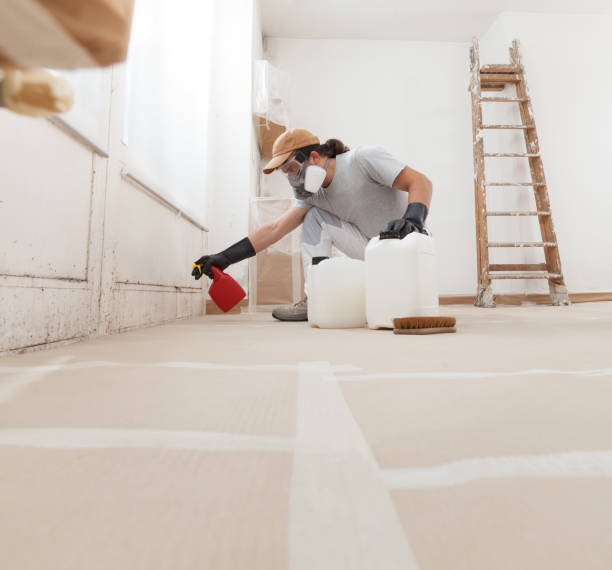 Best Commercial Mold Inspection  in Cypress Landing, NC