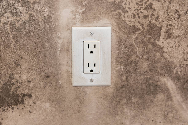  Cypress Landing, NC Mold Removal Pros